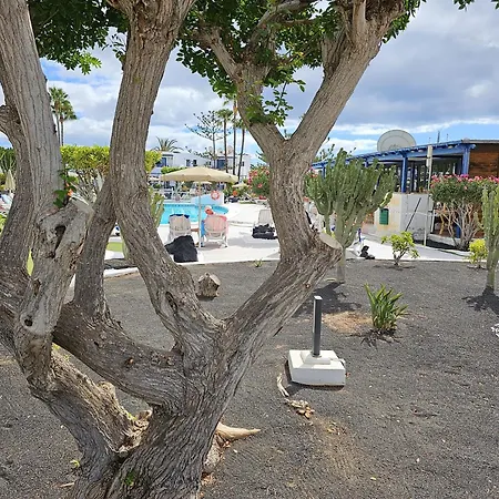 Daire Juma Holidays Puerto del Carmen (Lanzarote)